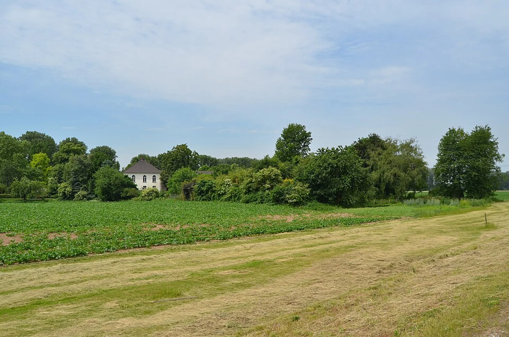 An image depicting the trail Nierst Rundweg A3 and its surrounding area.