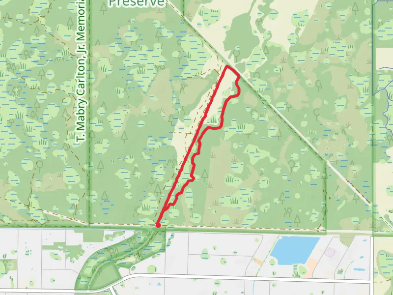 Prosper and Prosper Return Loop