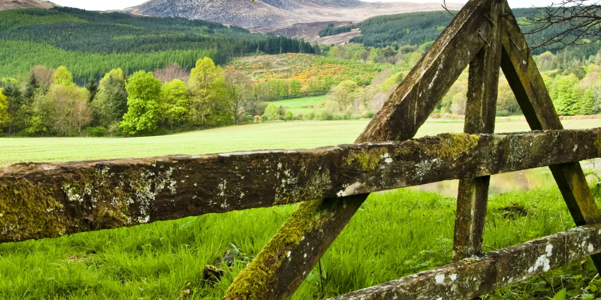 An image depicting the trail Goatfell - Isle of Arran and its surrounding area.