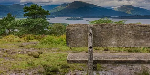 An image depicting the trail Inchcailloch Route and its surrounding area.