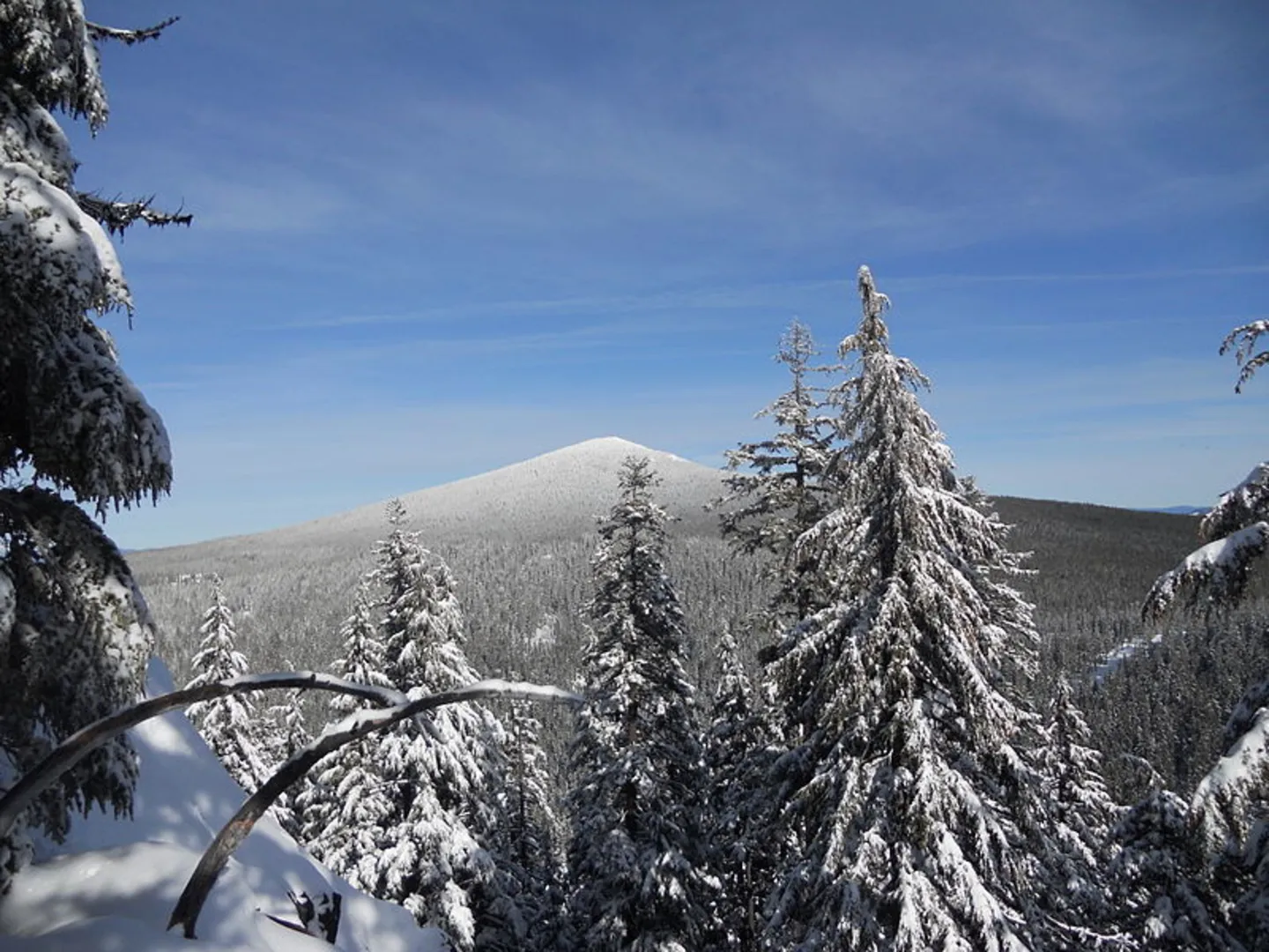 An image depicting the trail Maiden Peak Summit via Maiden Lake Trail and its surrounding area.