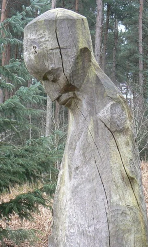 Adderstone Field Loop