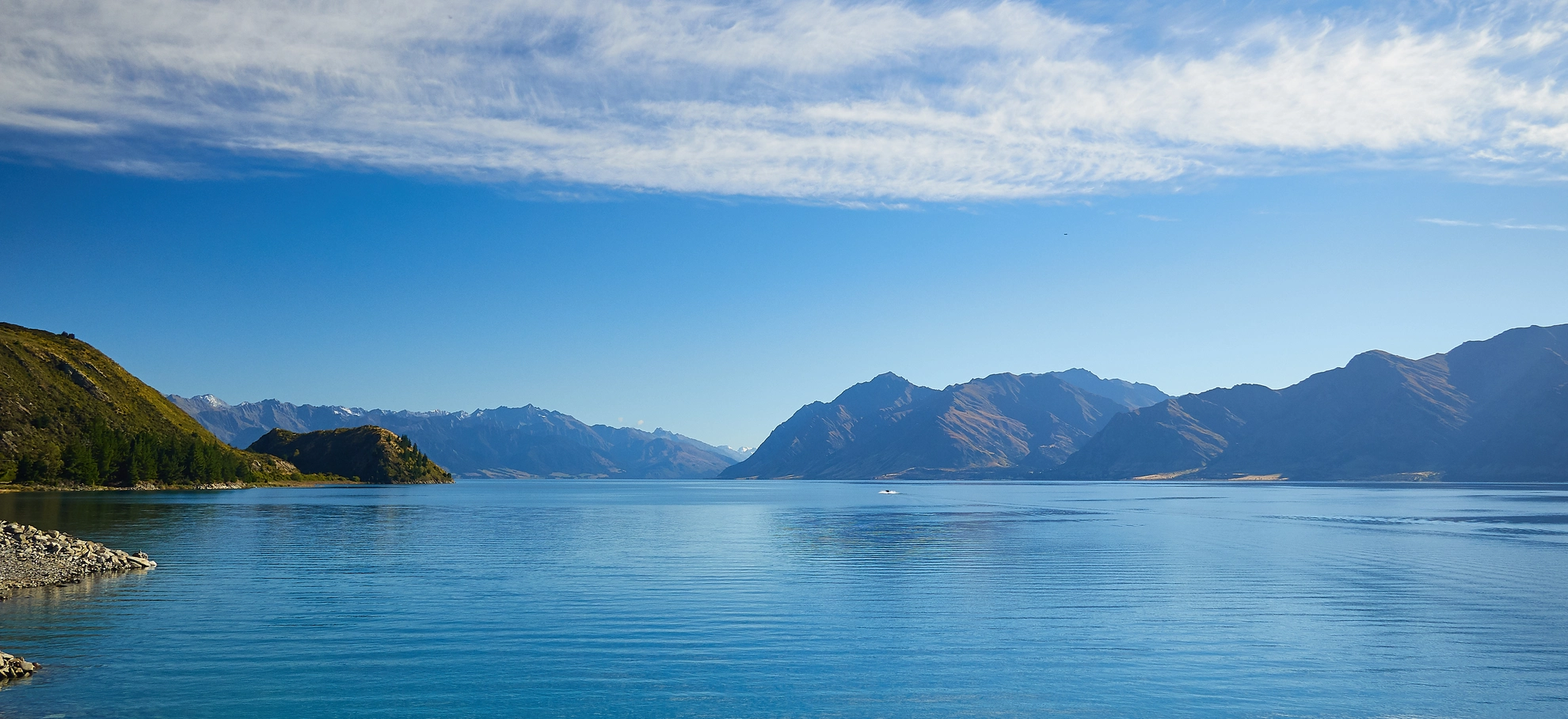 An image depicting the trail Dingle Burn Track and its surrounding area.