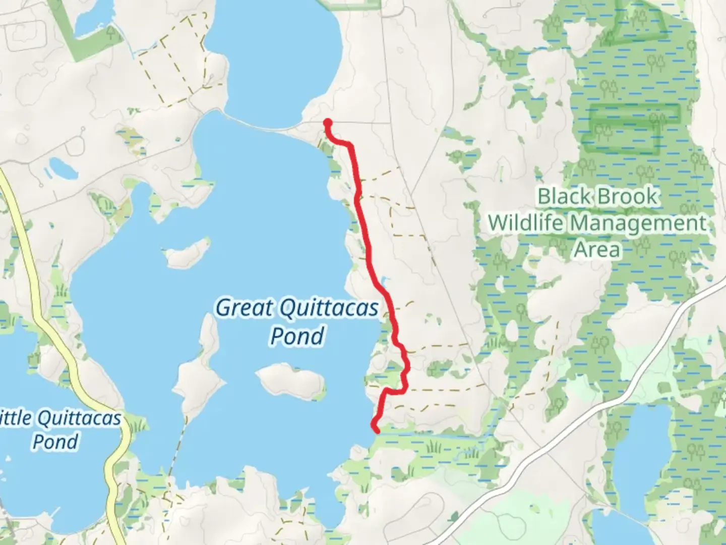 An image depicting the trail Great Quittacas Pond East Shore Trail and its surrounding area.