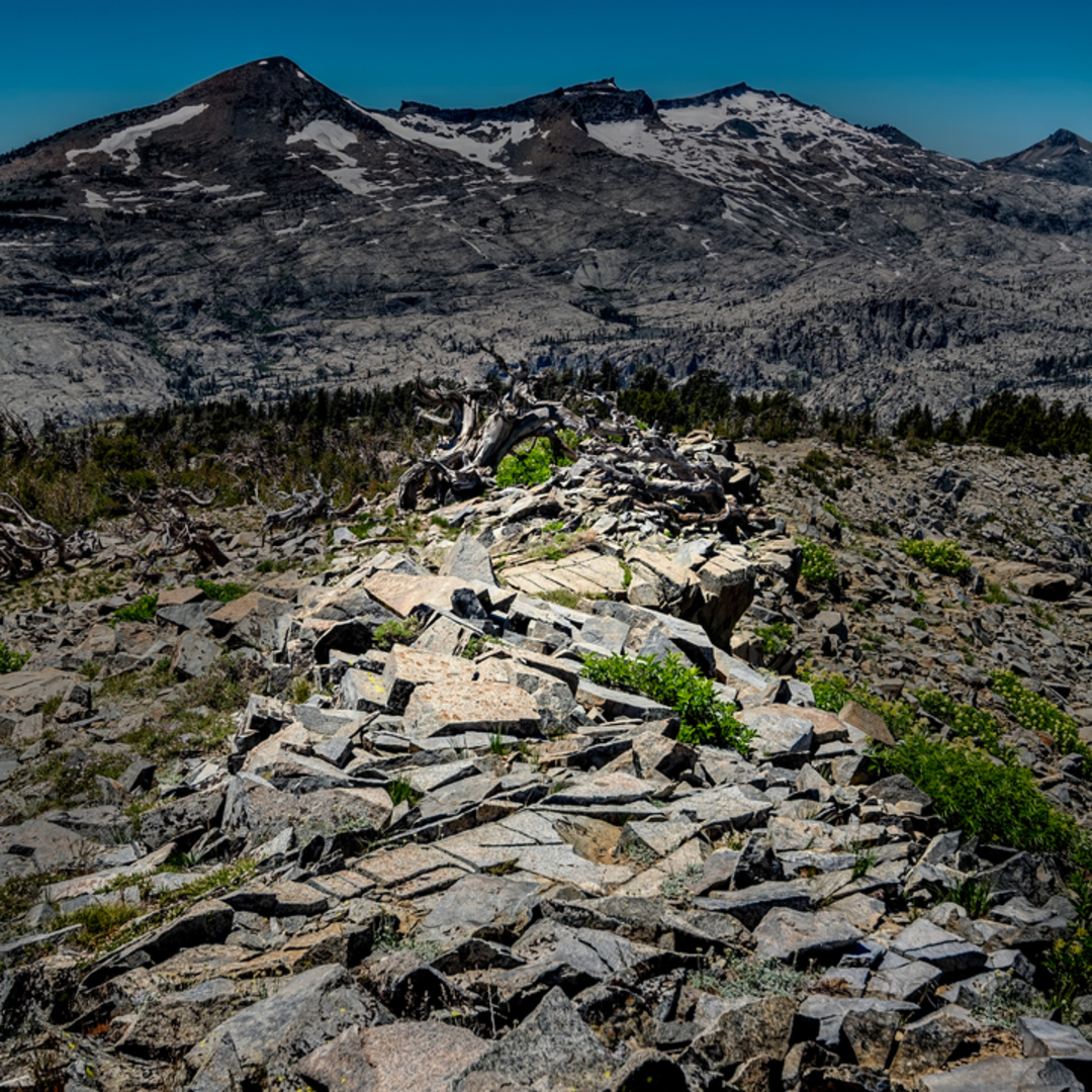An image depicting the trail Ralston Peak Trail and its surrounding area.