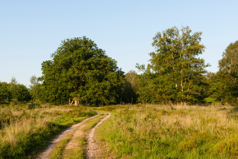 Turfkoelen, De Meinweg and Rolvennen Loop