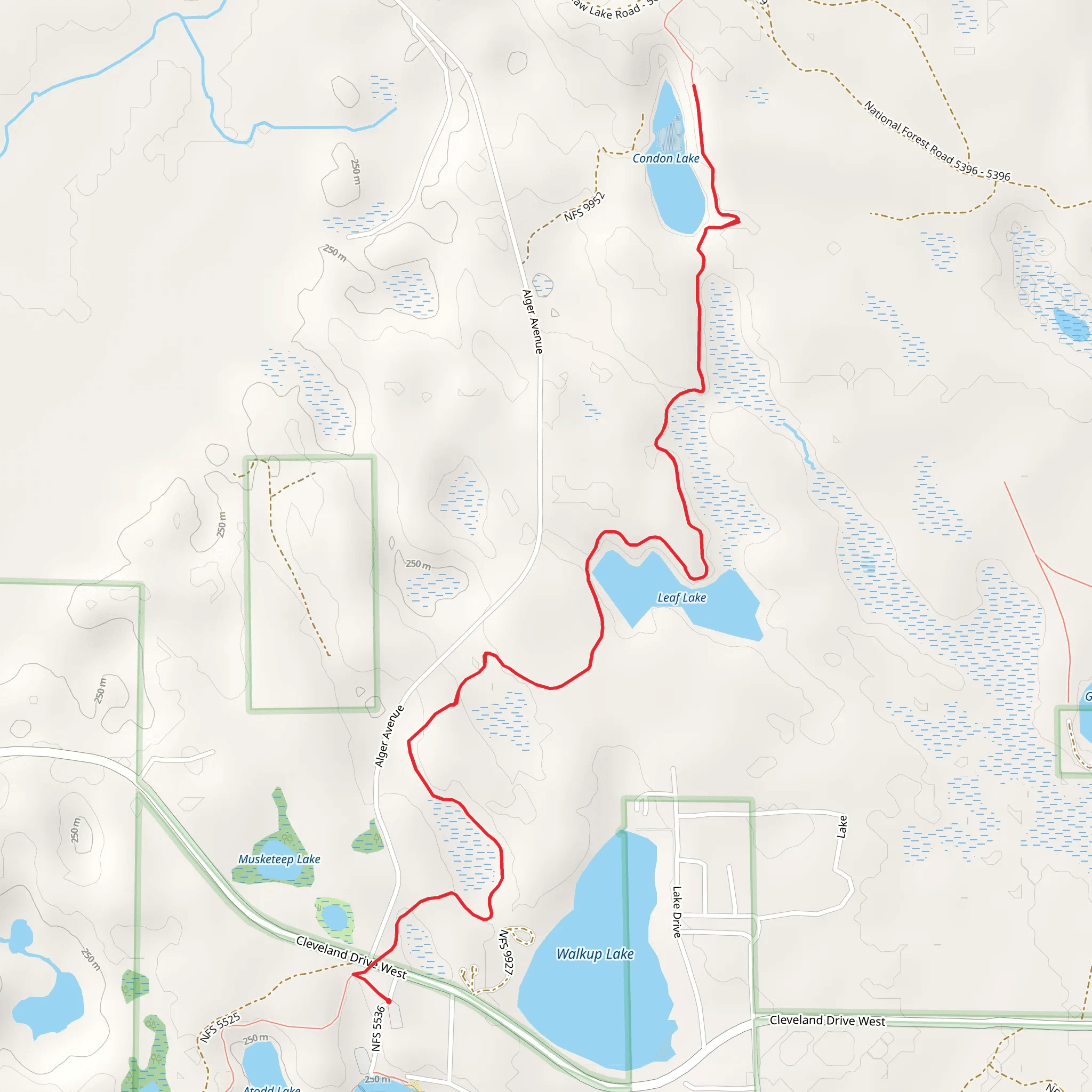 Condon Lake and Leaf Lake via North Country National Scenic Trail mobile static map