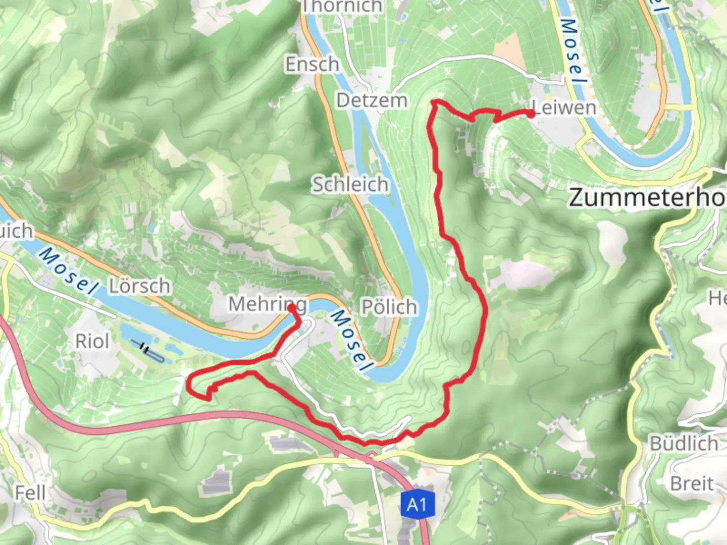 An image depicting the trail Mehring to Leiwen Walk and its surrounding area.