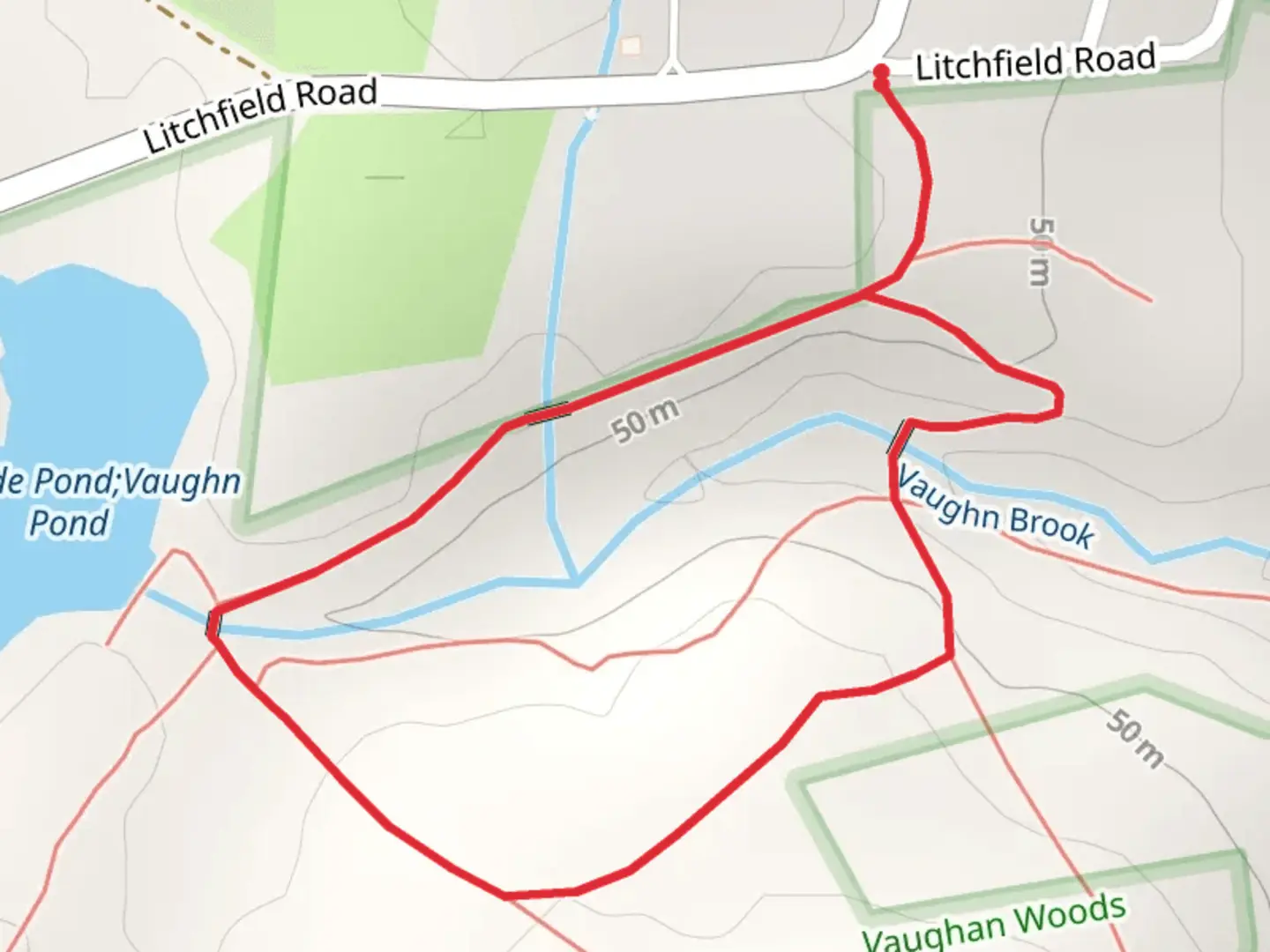 An image depicting the trail Cascade Pond and Vaughn Brook Loop and its surrounding area.