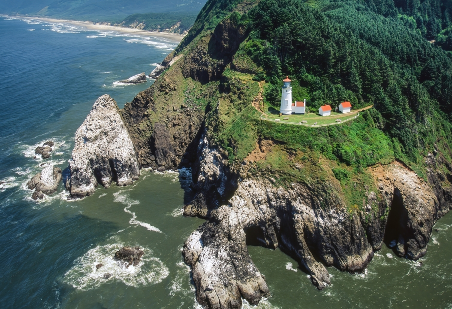 An image depicting the trail Heceta Lighthouse Trail from Cape Cove and its surrounding area.