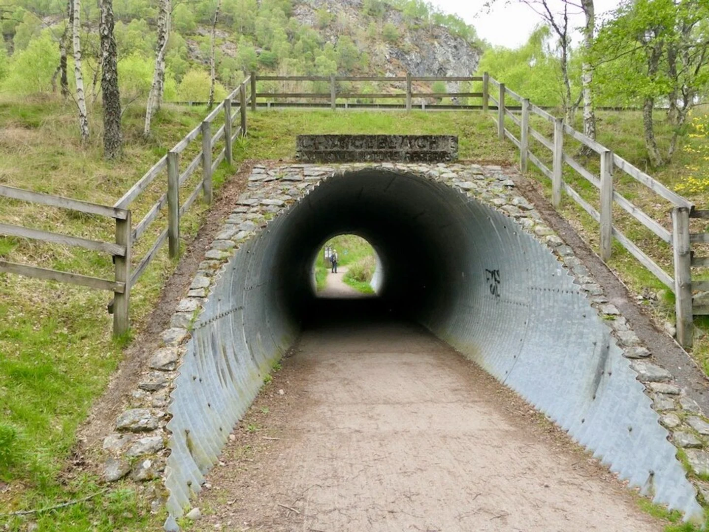 An image depicting the trail Craigellachie Nature Reserve Loop and its surrounding area.