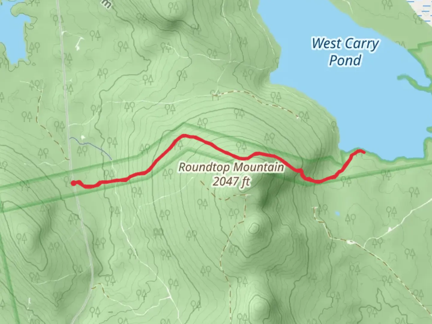 An image depicting the trail West Carry Pond Trail and its surrounding area.