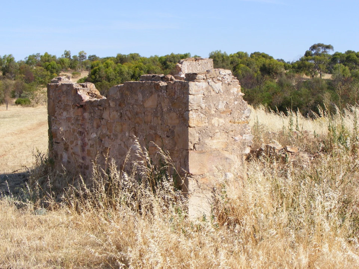 An image depicting the trail Valley Circuit Track and its surrounding area.