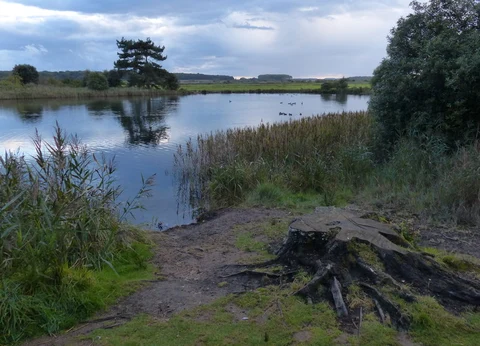 An image depicting the trail Thornham to Wells Next the Sea Walk and its surrounding area.