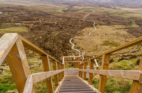 An image depicting the trail Florence Court Forest Trail and its surrounding area.