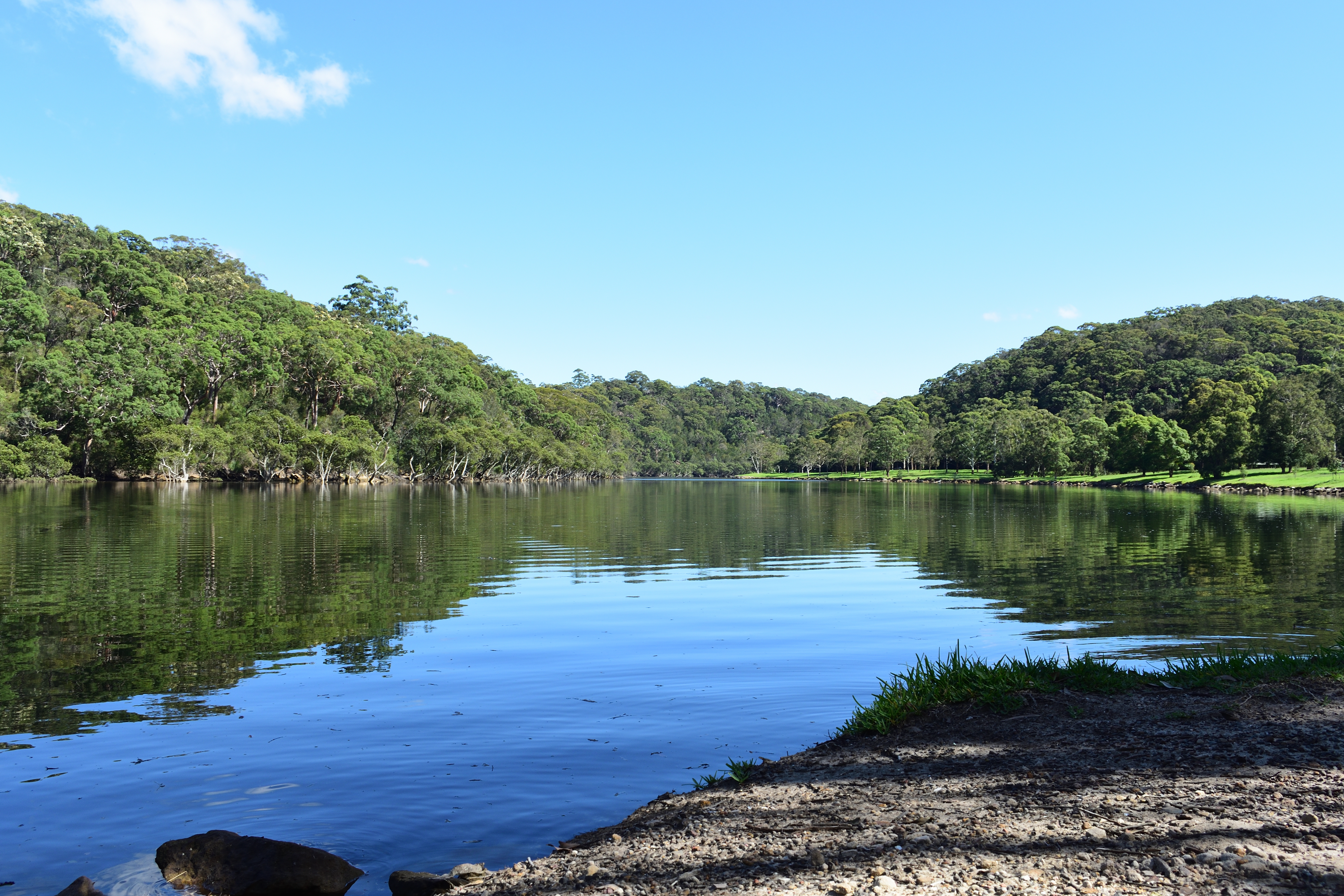 An image depicting the trail Garigal National Park and its surrounding area.