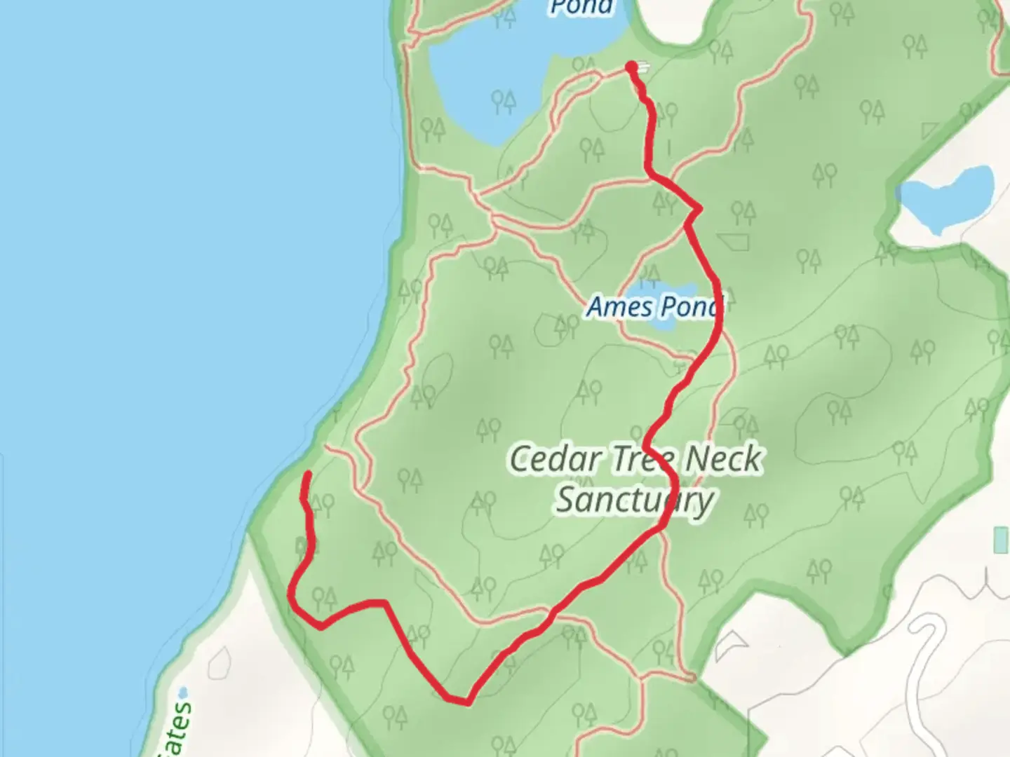 An image depicting the trail Ames - Cedar Tree Neck Pond and its surrounding area.