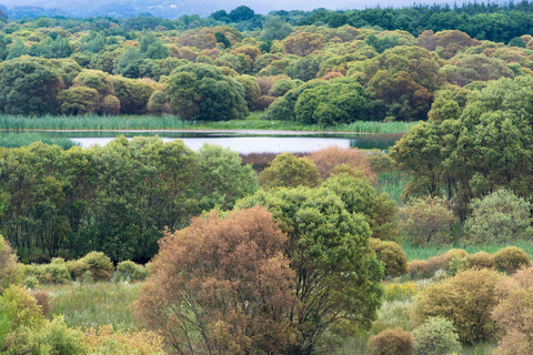 Ruta das Lagoas PR G 151