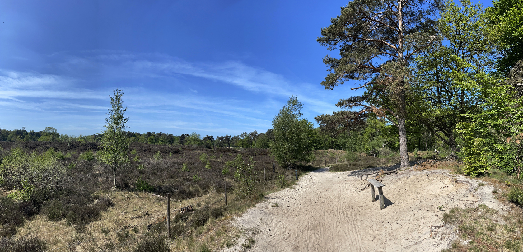 An image depicting the trail Bakkeveense Duinen and Uitzichttoren Loop and its surrounding area.