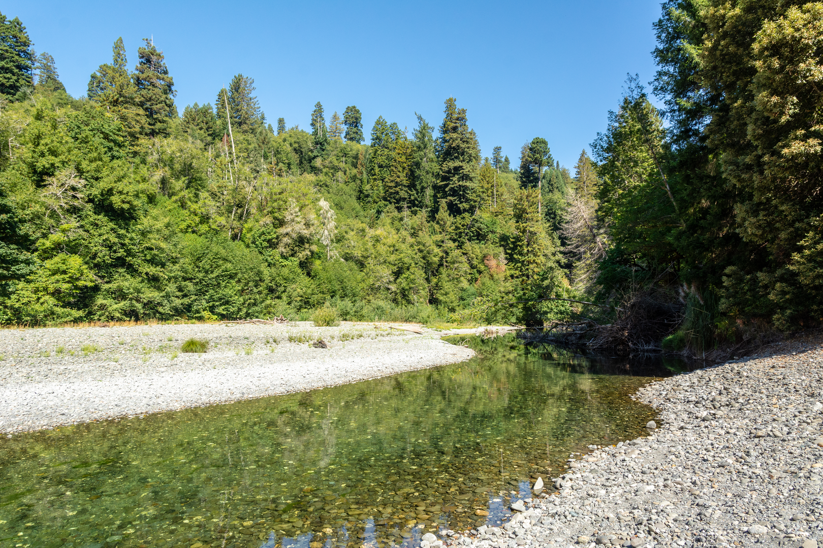 An image depicting the trail Elm Creek and McArthur Creek Walk and its surrounding area.