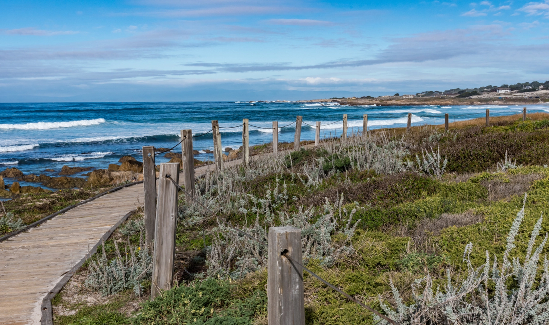 An image depicting the trail Asilomar Dunes Boardwalk - Asilomar State Beach and its surrounding area.