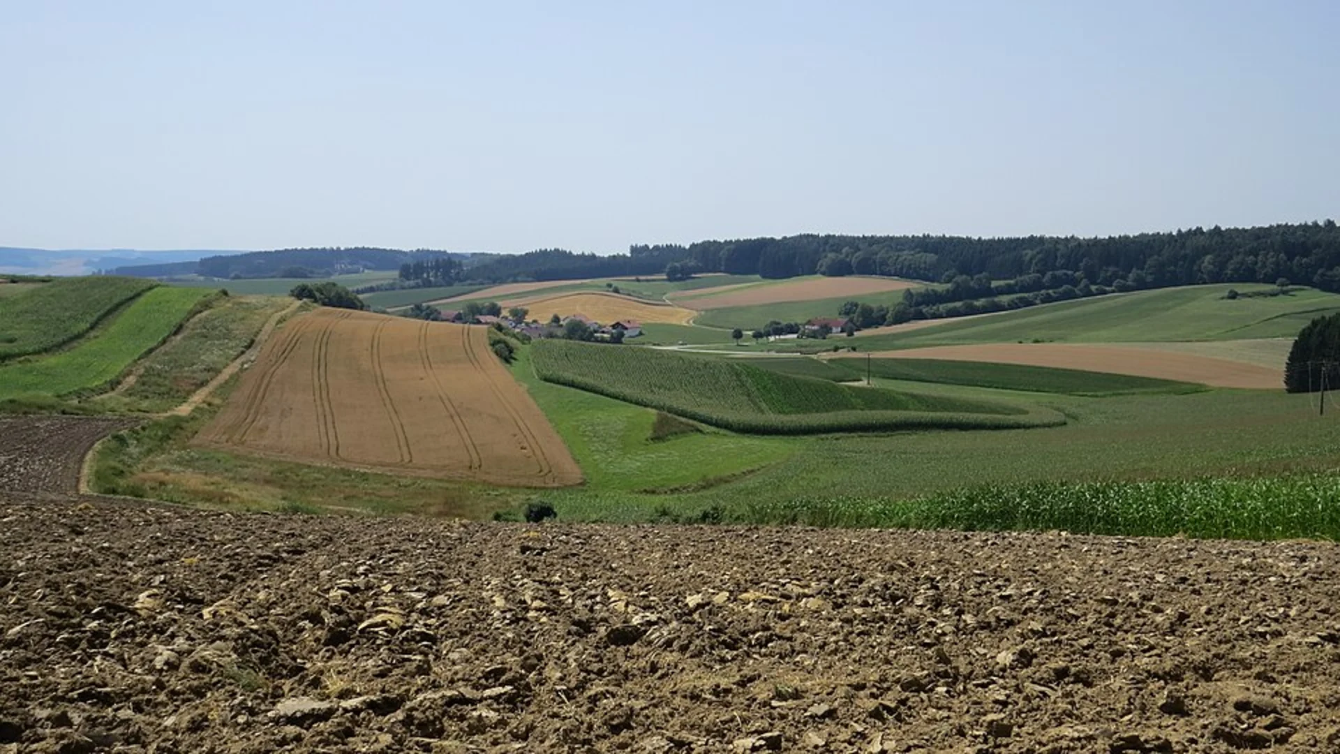 An image depicting the trail Oberbimbach Loop via Bimbach 3 and its surrounding area.