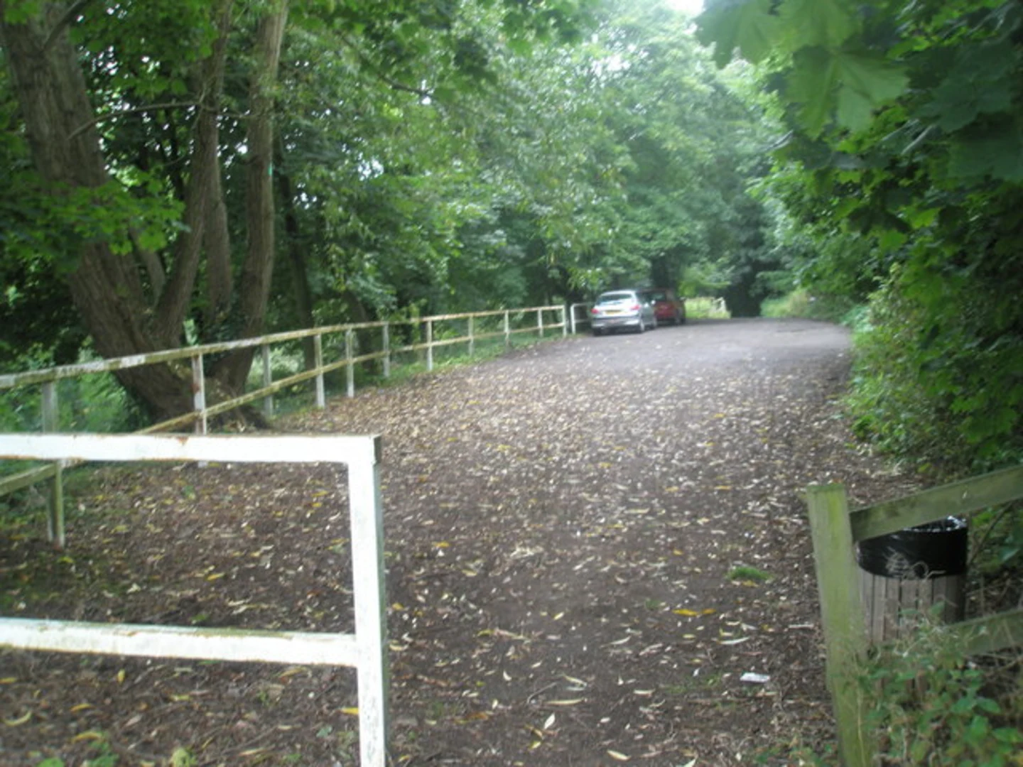 An image depicting the trail The Lloyd's Loop and its surrounding area.