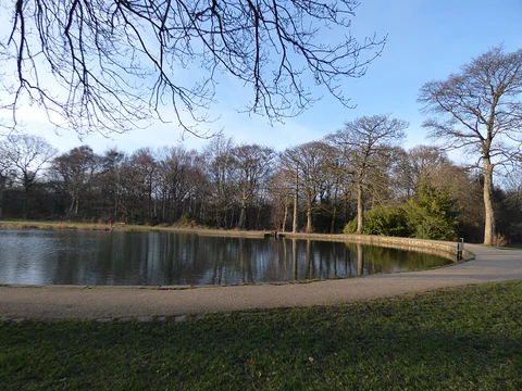 An image depicting the trail Middleton Park Loop and its surrounding area.