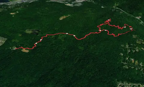 Shy Bear Trail and Wilderness Cliffs Trail