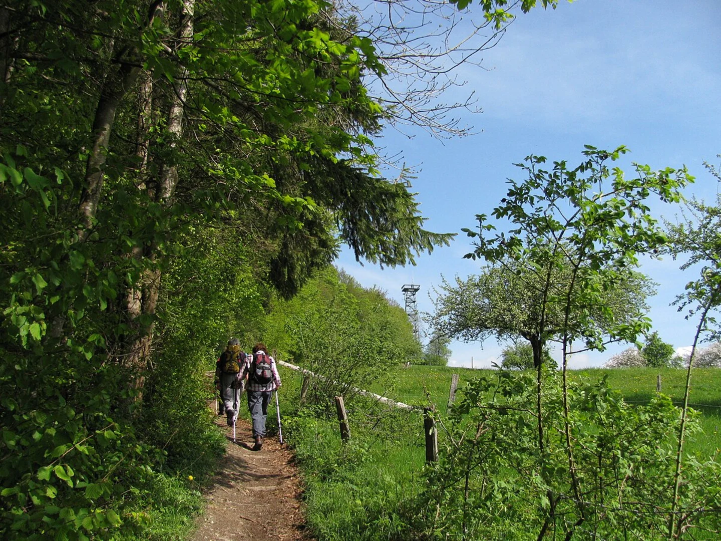 An image depicting the trail Erdeutsch Loop via GuckinsLand Wanderweg and its surrounding area.