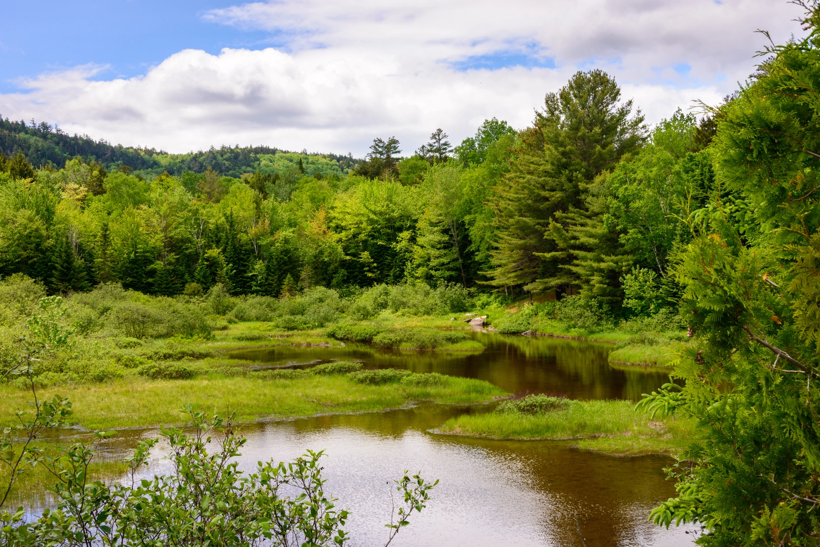 An image depicting the trail The St John Valley Heritage Trail and its surrounding area.
