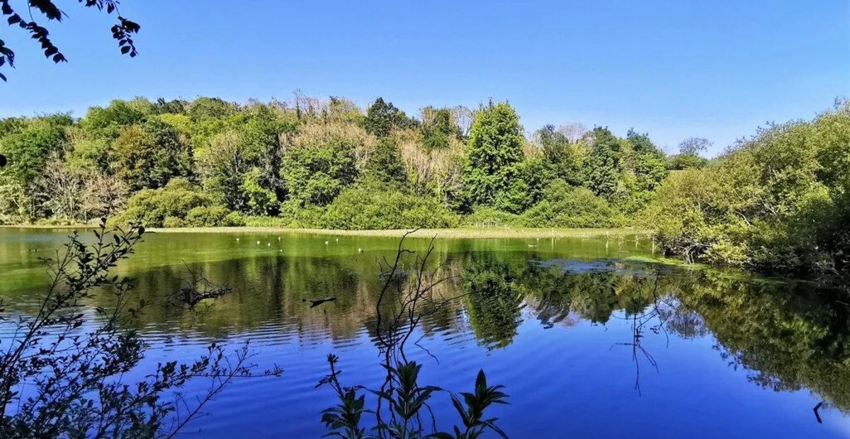Swanbourne Lake Loop - Arundel