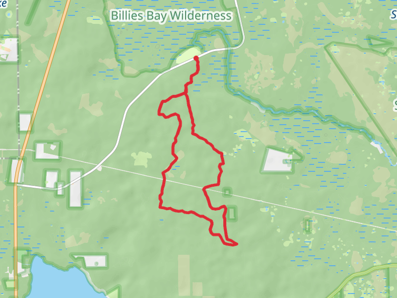 Alexander Springs Recreation Area Spur and Paisley Woods Loop Trail