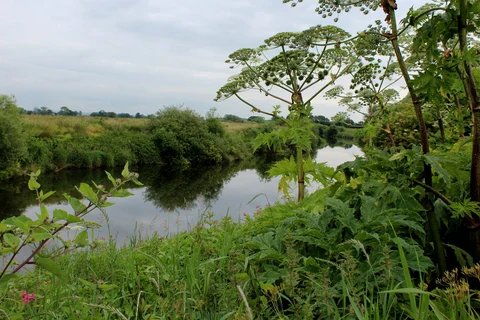 An image depicting the trail Lower Dunsforth Loop and its surrounding area.