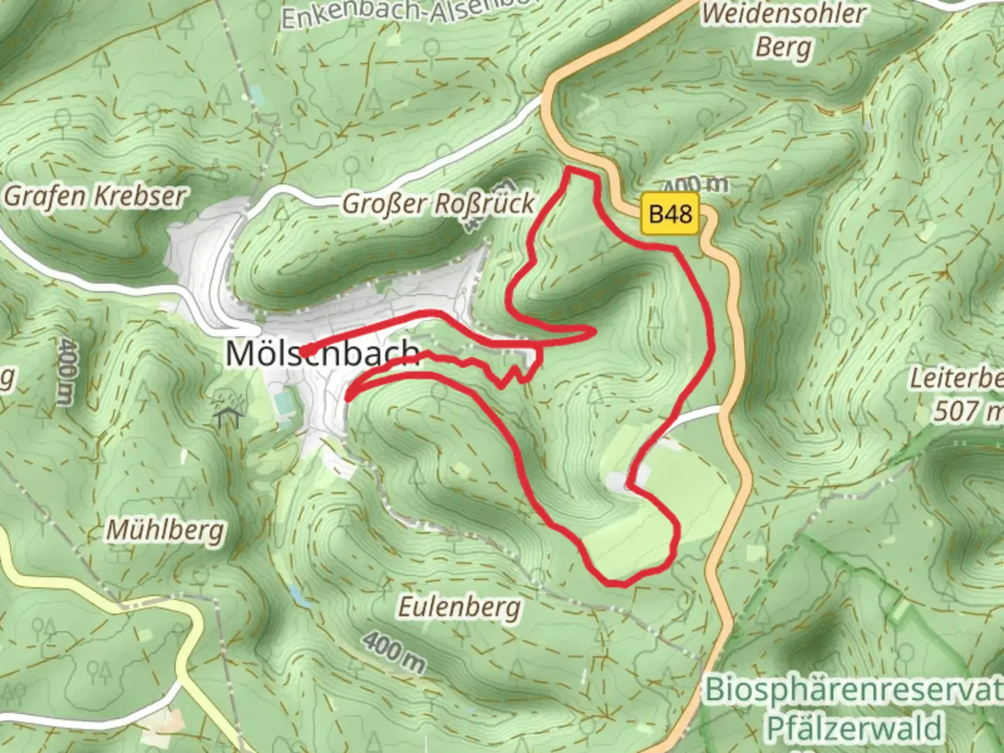 An image depicting the trail Stüterhof Loop via Pfaezerwald Weisser Punkt and its surrounding area.