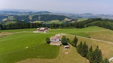 An image depicting the trail Hoher Hirschberg and its surrounding area.