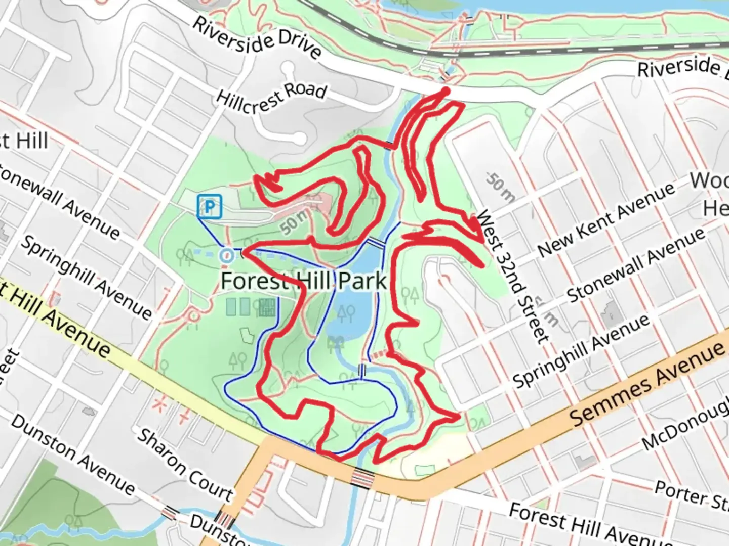 An image depicting the trail Forest Hill Loop and its surrounding area.