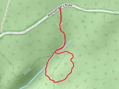 Pine Gully Nature Trail