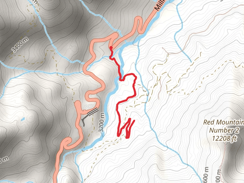 Dispersed camp site - Red Mountain Creek