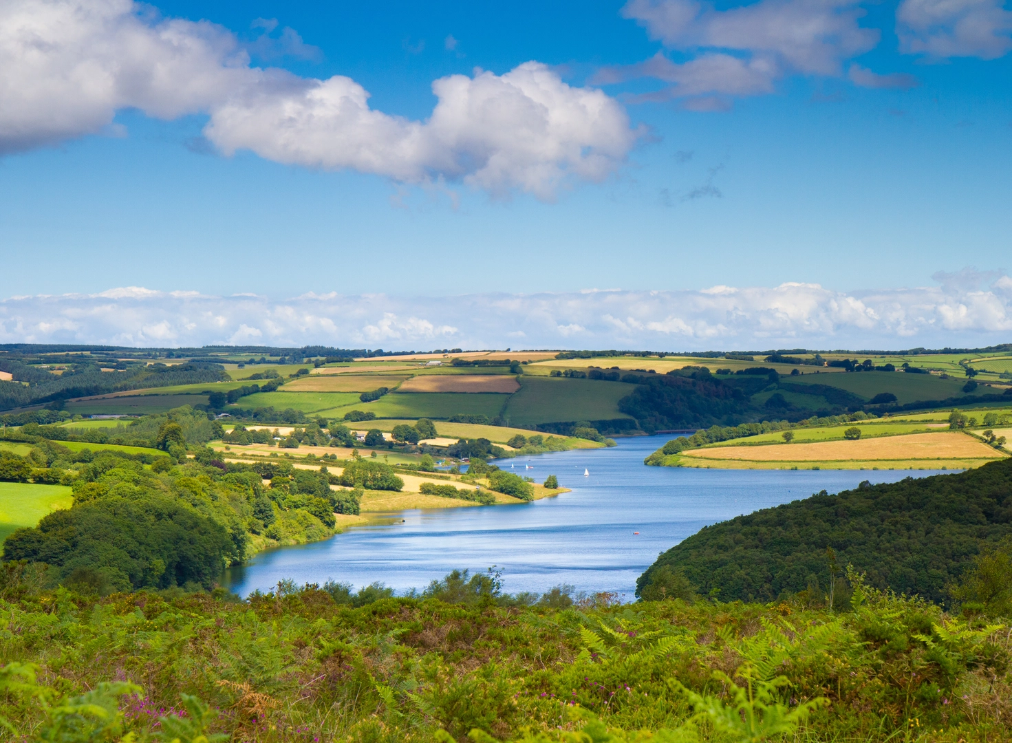 An image depicting the trail Wimbleball Lake - Walk to the Dam and its surrounding area.