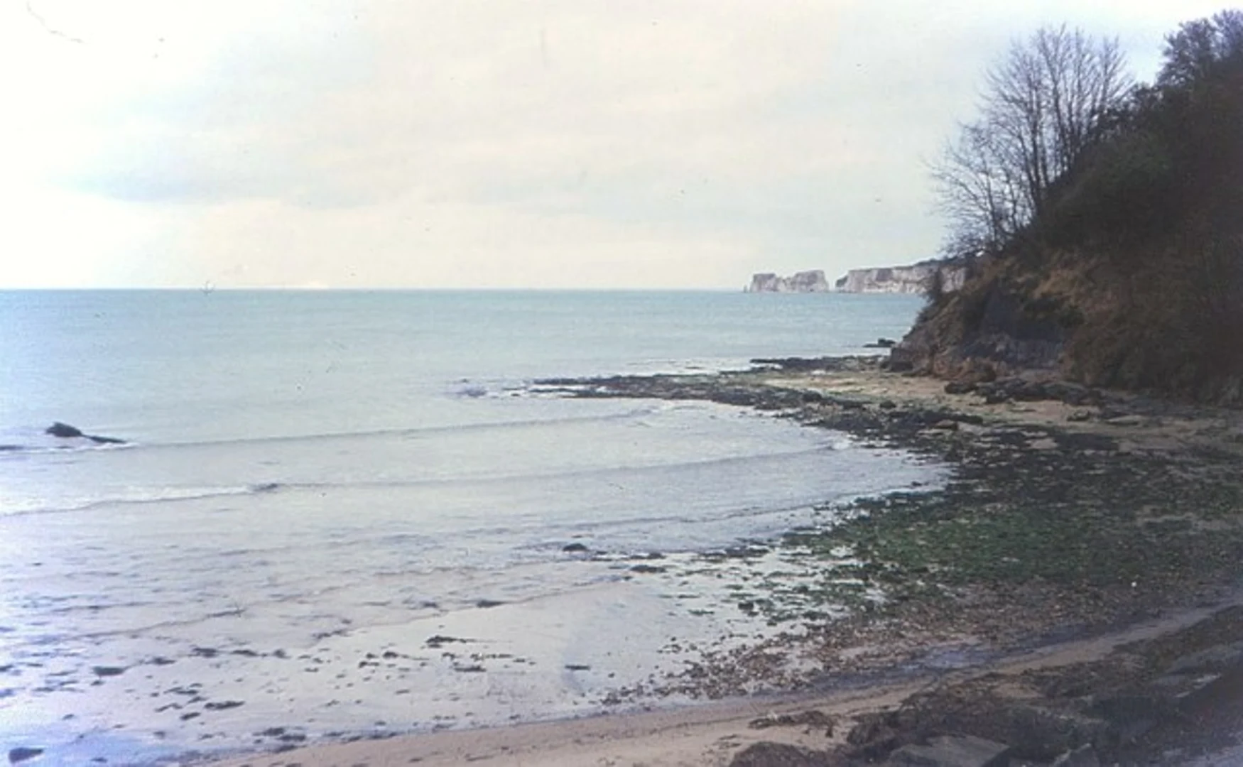 An image depicting the trail Old Harry Rocks to Shell Beach Walk and its surrounding area.