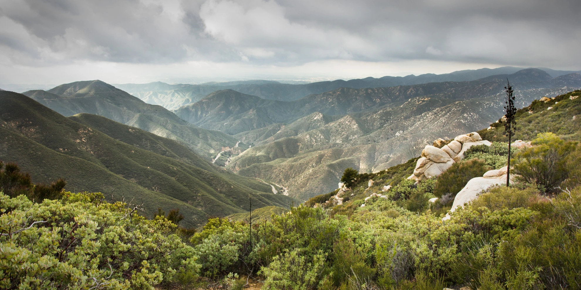 An image depicting the trail Sitton Peak Trail Out and Back and its surrounding area.