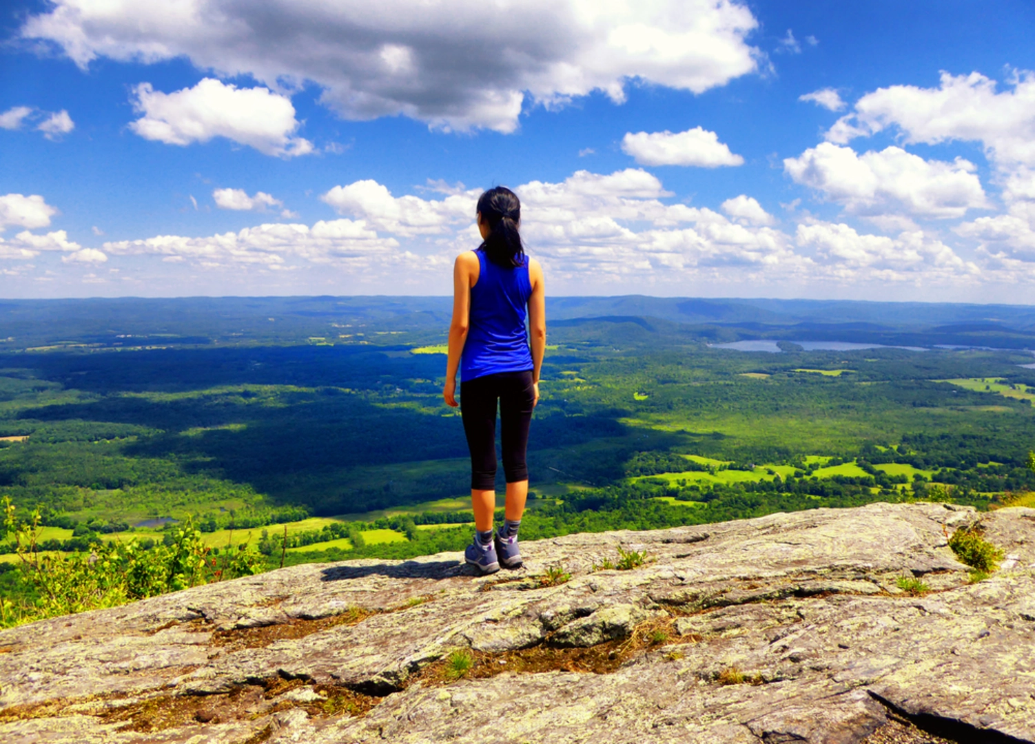 An image depicting the trail Mount Race Trail and its surrounding area.