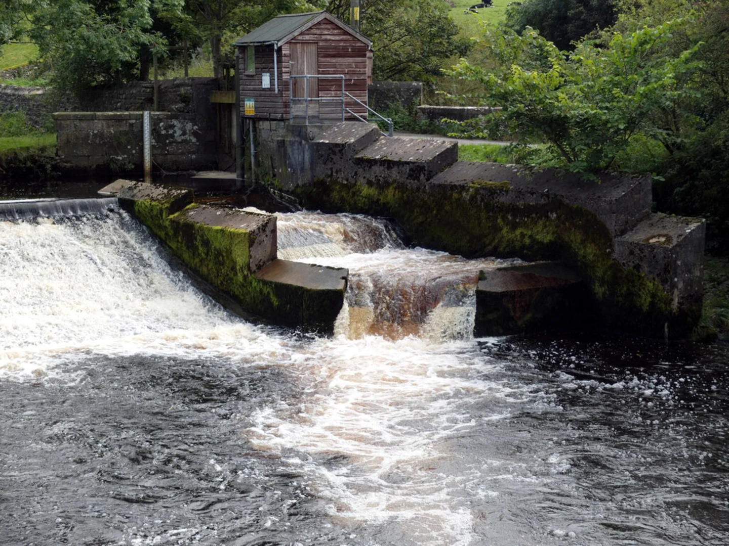 An image depicting the trail River Ribble and Langcliffe Place Loop and its surrounding area.