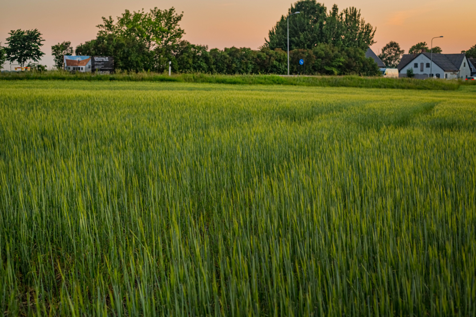 An image depicting the trail Skåneleden 3 and its surrounding area.