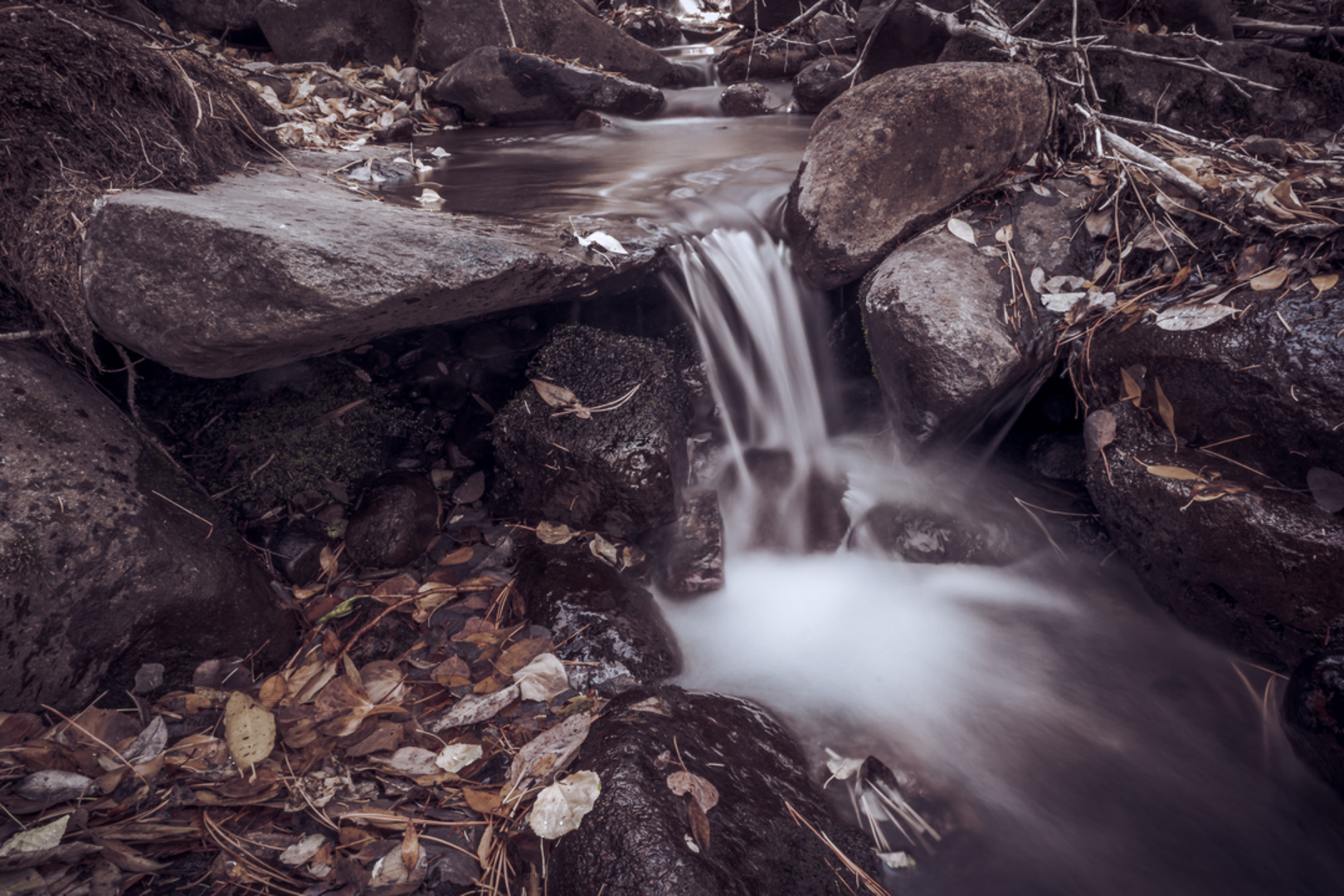 An image depicting the trail Venable Trail and its surrounding area.