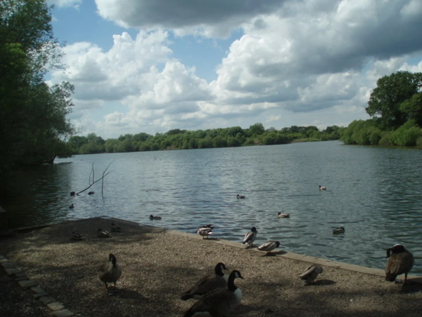 An image depicting the trail Dinton Pastures Country Park Circular and its surrounding area.