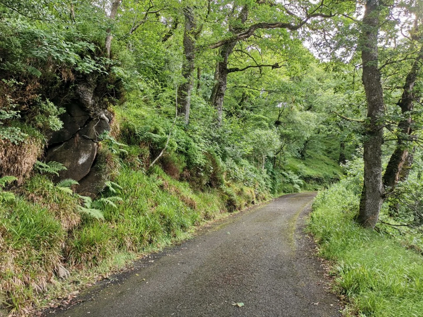 An image depicting the trail Banagher Glen and its surrounding area.