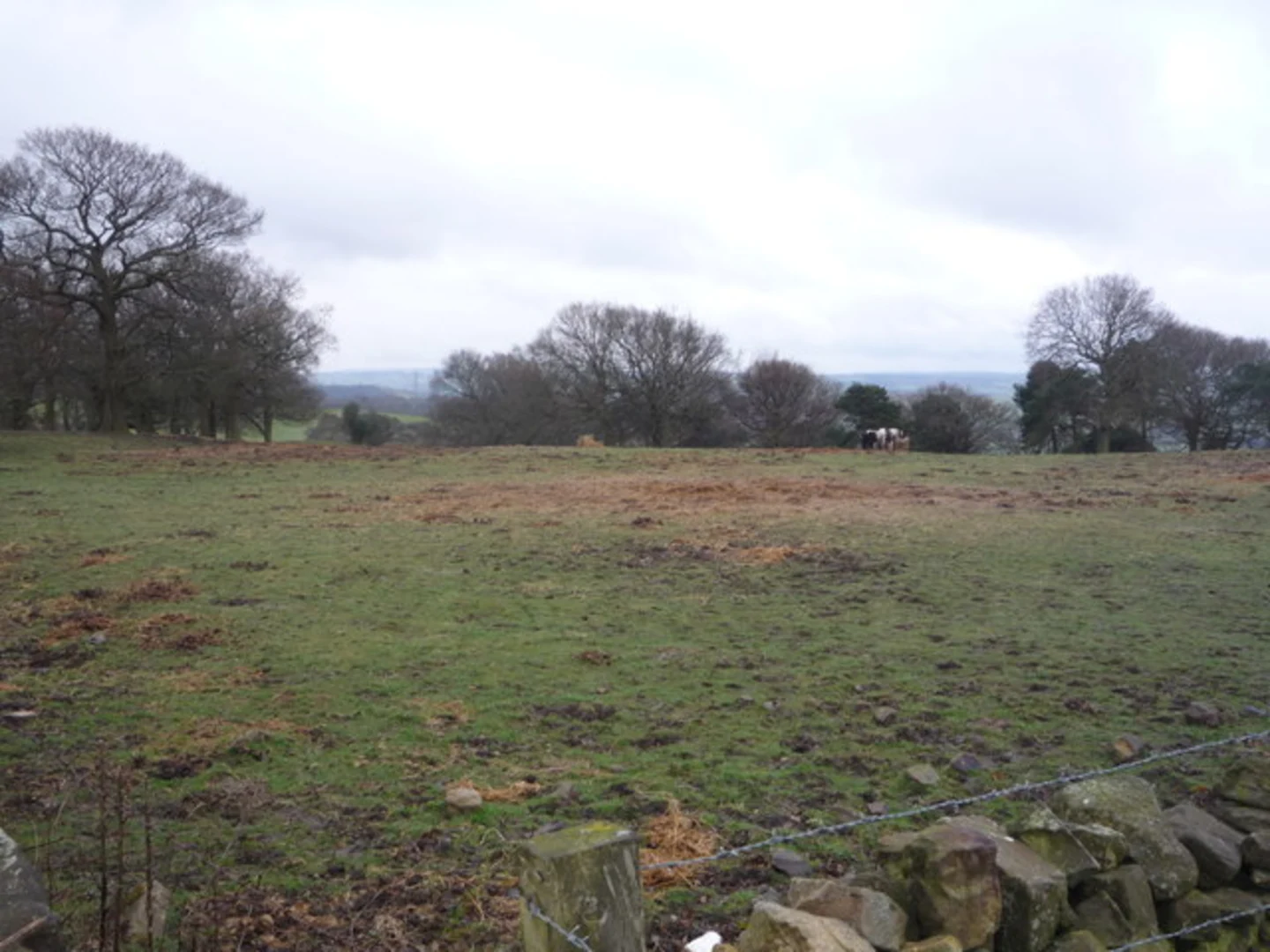An image depicting the trail Malton to Consett Loop and its surrounding area.