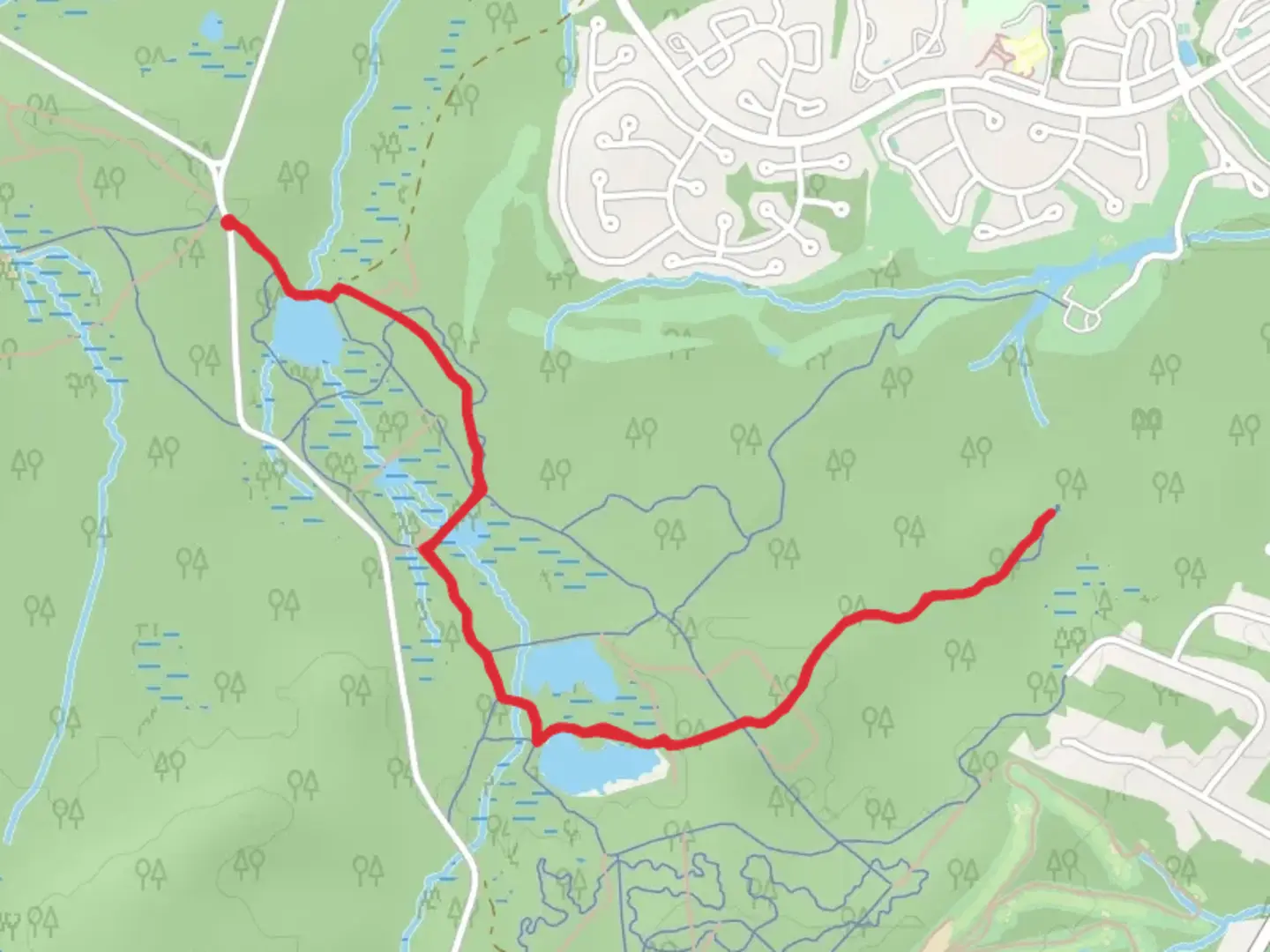 An image depicting the trail Bog Trail and Long Path and its surrounding area.
